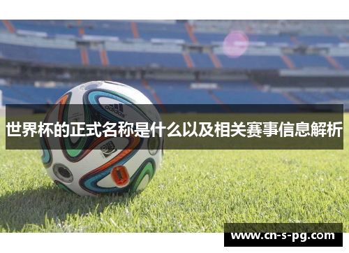世界杯的正式名称是什么以及相关赛事信息解析 世界杯的正式名称是什么以及相关赛事信息解析