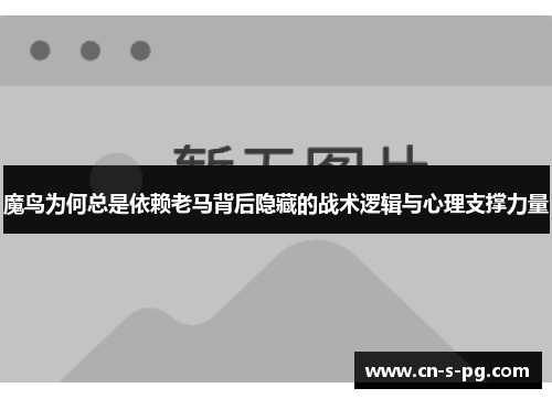 魔鸟为何总是依赖老马背后隐藏的战术逻辑与心理支撑力量 魔鸟为何总是依赖老马背后隐藏的战术逻辑与心理支撑力量