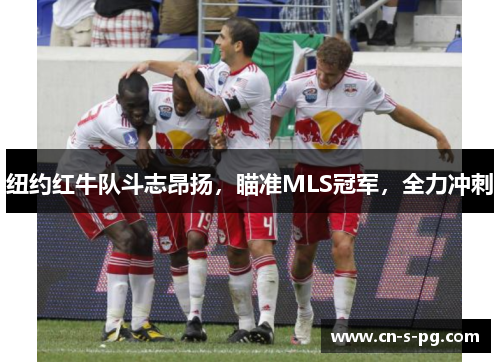 纽约红牛队斗志昂扬，瞄准MLS冠军，全力冲刺