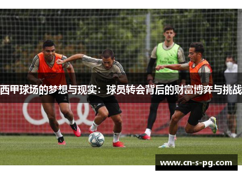 西甲球场的梦想与现实：球员转会背后的财富博弈与挑战