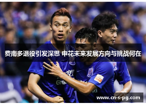 费南多退役引发深思 申花未来发展方向与挑战何在 费南多退役引发深思 申花未来发展方向与挑战何在