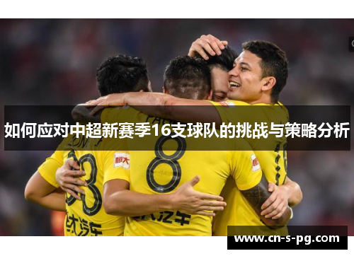 如何应对中超新赛季16支球队的挑战与策略分析 如何应对中超新赛季16支球队的挑战与策略分析