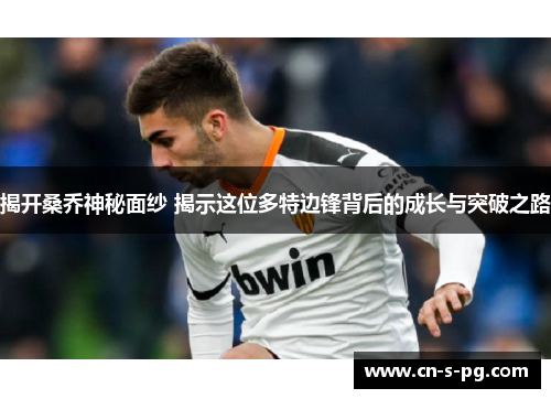 揭开桑乔神秘面纱 揭示这位多特边锋背后的成长与突破之路 揭开桑乔神秘面纱 揭示这位多特边锋背后的成长与突破之路